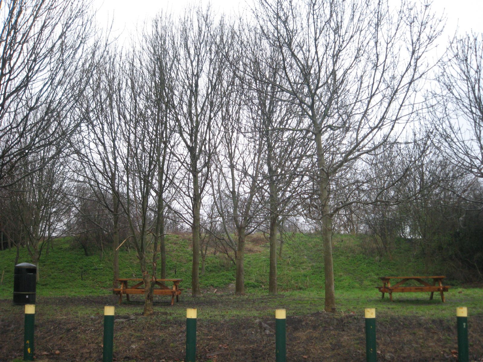 Leyton Jubilee Park